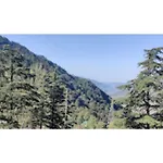 Hotel Rl Dream Land, Patnitop
