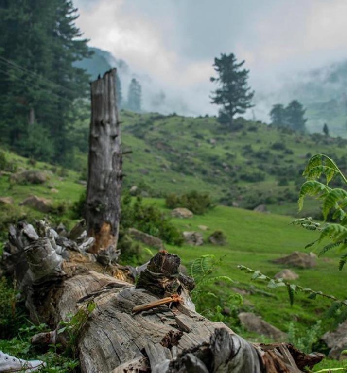 Shiva Cafe And Patnitop